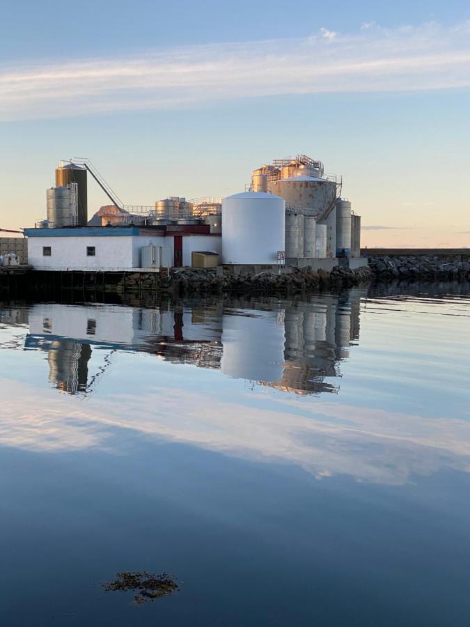 Nordlandshuset "Lottebakken", Ballstad In Lofoten Esterno foto