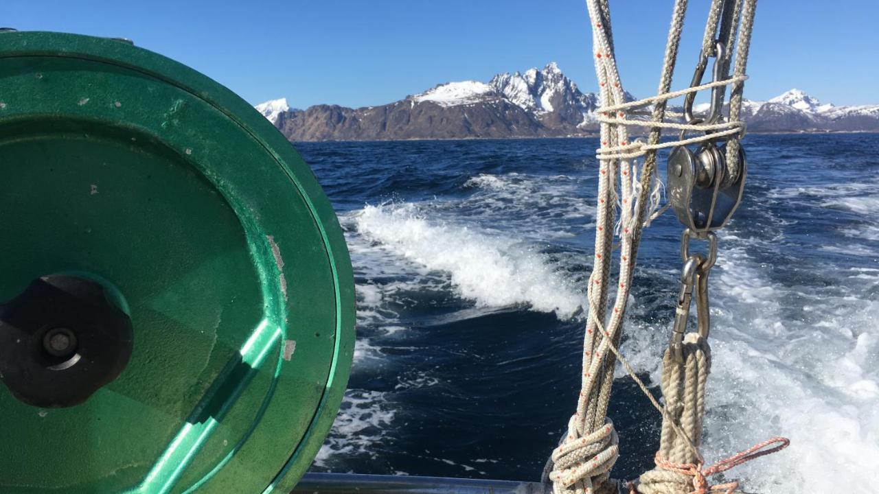 Nordlandshuset "Lottebakken", Ballstad In Lofoten Esterno foto