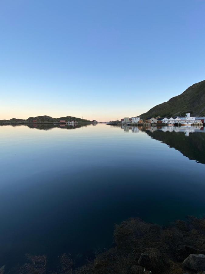 Nordlandshuset "Lottebakken", Ballstad In Lofoten Esterno foto