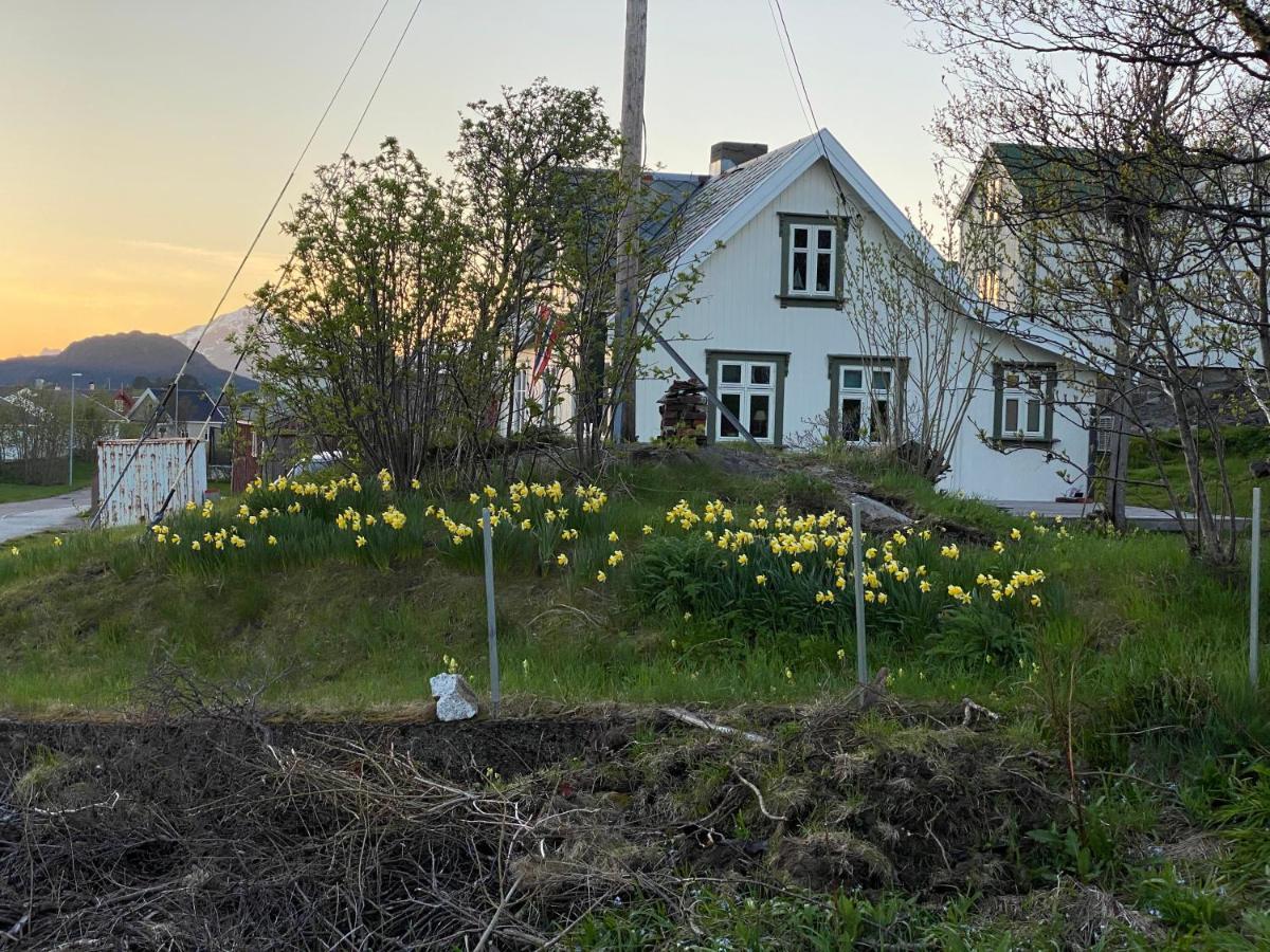 Nordlandshuset "Lottebakken", Ballstad In Lofoten Esterno foto